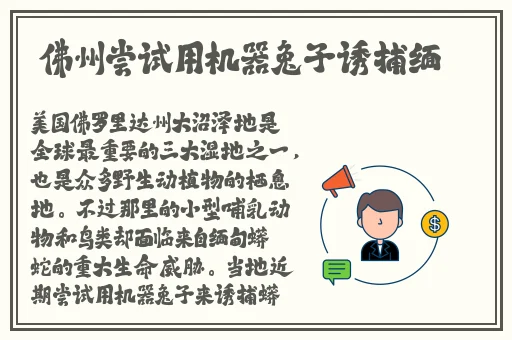 国产精品久久久久免费A∨