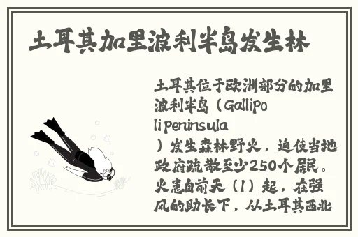 91女性跟教练晚上练车合适吗